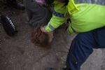 Vanda Arrested by GMP at Barton Moss